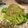 ぽん1208's cooksnap of when they made 簡単！　フライパンで　マグロのネギ塩焼き.