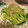 ぽん1208's cooksnap of when they made 簡単！　フライパンで　マグロのネギ塩焼き.