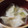 ムヒカ's cooksnap of when they made 新玉ねぎと冷凍餃子のスープ.