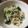 ムヒカ's cooksnap of when they made 簡単 しらすとサラダほうれん草のお浸し.