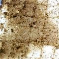 桃アン's cooksnap of when they made おからクッキー.