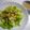 たくやときみこ's cooksnap of when they made 森のサラダ♡ with胡麻ドレッシング.