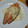 プーちゃんちゃん's cooksnap of when they made 鮭のムニエル☆マヨマスタードソース.