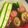 ccccccc7's cooksnap of when they made 秋です！しいたけホイルマヨ焼き♪.