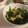 クックPW9C2T☆'s cooksnap of when they made ★ほうれん草の卵和え★.