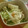 ∞まち∞'s cooksnap of when they made 水菜と大根とカニカマのマヨぽんサラダ.