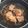 はちみつかなこ's cooksnap of when they made 帯広名物！！豚丼.