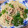 dめぐb's cooksnap of when they made なすと万願寺とうがらしのパスタ.
