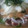 まいめる0720's cooksnap of when they made ☆カツオのたたき〜梅だれ〜☆.