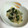 クック91DJPO☆'s cooksnap of when they made 簡単☆玉ねぎとツナほうれん草炒め.