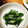 KSKGC's cooksnap of when they made 簡単★ゆでて和えるだけ！オクラ塩こんぶ.