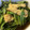 mameriko's cooksnap of when they made 京菜の煮浸し.