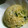 maruru-nn's cooksnap of when they made 水菜とエビの炒飯.