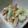 え～にょ's cooksnap of when they made 男の手料理♪富有柿と白菜deサラダ.