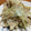 you☆amnos's cooksnap of when they made 材料3つ！えのきキャベツツナのマヨ炒め.