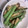 ☆amelie☆'s cooksnap of when they made アスパラとしいたけのカレーマヨ炒め.