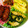 ジンベえちゃん's cooksnap of when they made ゴーヤーと鶏肉のオイスターソース炒め.