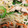 QOO＆SKY's cooksnap of when they made 簡単☆美味しい！☆豚肉の野菜炒め.