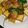 ★くまた★☆'s cooksnap of when they made 厚揚げの味噌炒め.