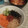 ちめりんこ's cooksnap of when they made 化学調味料を使わない簡単本格キムチチゲ.