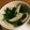 rinneco's cooksnap of when they made ＊ほうれん草ときのこ超シンプル塩麹炒め＊.
