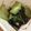 クック69LGPY☆'s cooksnap of when they made シンプル♡青梗菜のオイスター炒め.