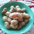 あおいじゅんせい's cooksnap of when they made ✿茹で落花生✿.