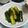 ✿❀✿❀'s cooksnap of when they made 胡瓜の醤油漬け.