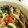 kumikko♪'s cooksnap of when they made 小アジの南蛮漬け.