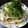 Sゆうこりん's cooksnap of when they made ○胡麻ダレ・和風なパスタ○.