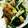 airitkd's cooksnap of when they made サーモンと水菜のオイスター炒め.