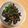 ともぱんたから's cooksnap of when they made ピーマンと塩昆布炒め。.