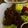 tataemme's cooksnap of when they made すぐ出来　バルサミコバターでアスパラ肉巻.