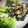 おさつ☆23's cooksnap of when they made 牡蠣と茄子の味噌焼き♪.