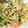 harmony930's cooksnap of when they made 豆苗、きのこ、たまごの炒めもの.