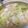 ヤスコ♪'s cooksnap of when they made モツ鍋風鶏皮鍋.
