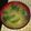 なおつん0802's cooksnap of when they made 豆腐と小松菜の炒め味噌汁.