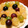 ほり♪'s cooksnap of when they made ひと房丸ごと♪葡萄のタルト.