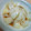 しぶみさ☆'s cooksnap of when they made 新たまねぎのまるごと簡単フラワー☆.