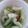 くいしんぼんぼん's cooksnap of when they made セロリのピクルス.