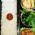 真央pooh's cooksnap of when they made お弁当の隙間にピーマン・塩昆布もみもみ〜.