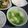 2児ママみきてぃ's cooksnap of when they made 水菜と豆腐のジンジャースープ.