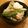 のぞーん's cooksnap of when they made かぶの簡単サラダ.