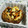 maplepiano's cooksnap of when they made 軸までおいしい♪しいたけのマヨネーズ焼き.