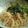 みけねこやよい's cooksnap of when they made ★たらこの冷製パスタ★.