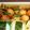パパチとママチ's cooksnap of when they made チーズ入り　ミニアメリカンドッグ.
