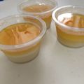 takapy's cooksnap of when they made 豆乳でパンナコッタ♪.