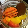 モンコ。's cooksnap of when they made 夏バテに負けるな！さっぱりピクルス.