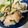 ponpocojp's cooksnap of when they made 柔らかジューシー！鶏むね肉と大葉の塩焼き.