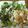 hanahana♪'s cooksnap of when they made さくっと揚がる♪鶏肉と野菜の天ぷら.